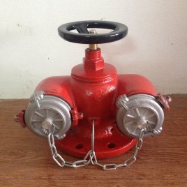 Đầu trụ cấp nước cứu hỏa giá rẻ tại Hà Nội